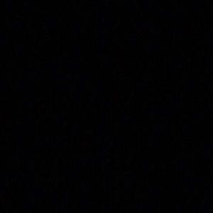 Meet your Posher, Donavan